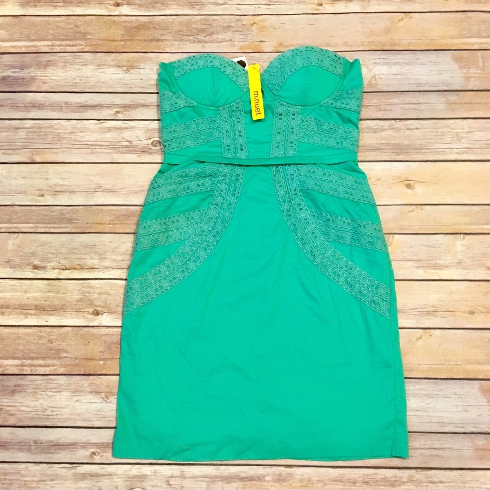 🎈Minuet Dress with Lace in Mint, Size Small NWT
